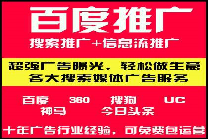 成功案例：sem竞价托管的智慧与策略